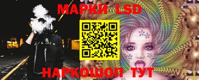 гидра Будённовск
