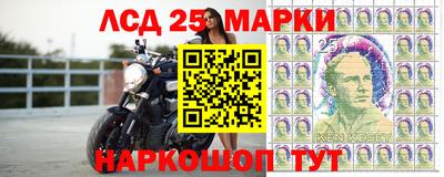 гидра Будённовск