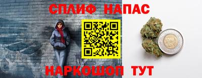 гидра Будённовск