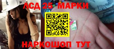 гидра Будённовск
