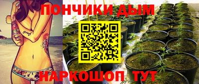 гидра Будённовск
