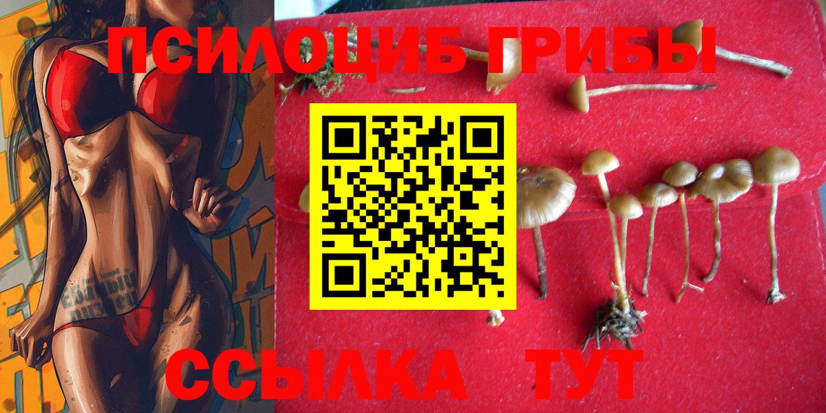 Саранск  хочу наркоту  Вход с VPN  Галлюциногенные грибы прущие грибы 