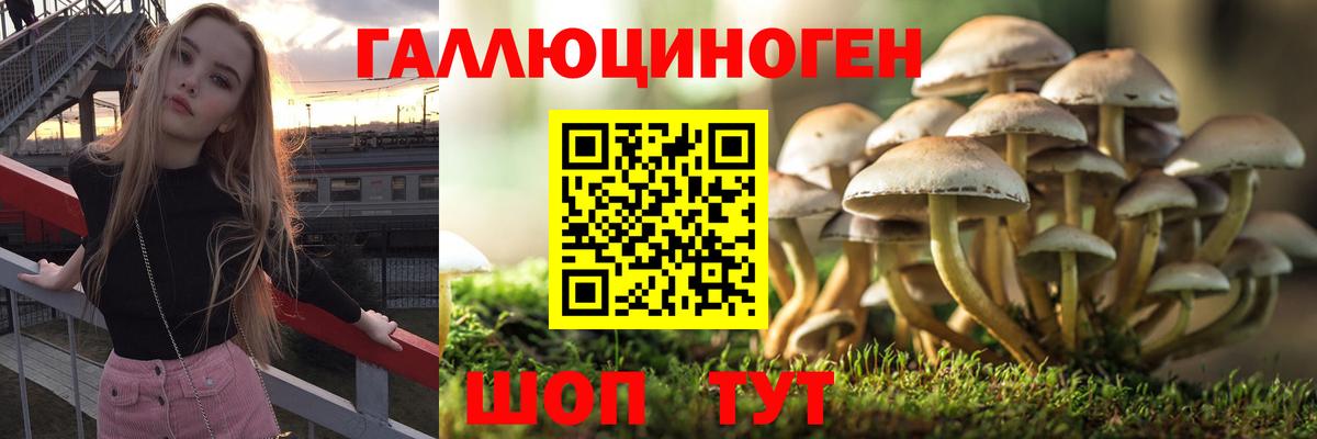 Псилоцибиновые грибы прущие грибы Саранск